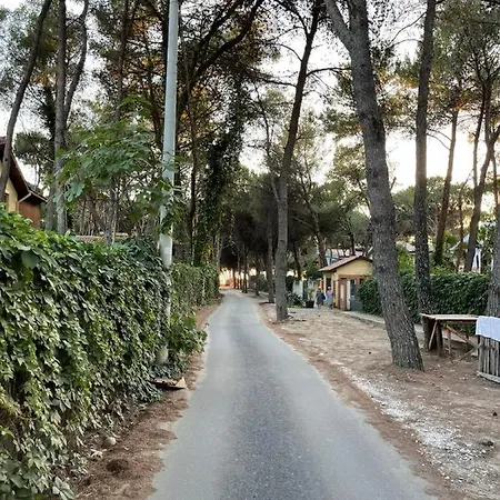 Apartamento Bega's In Golem, Durres