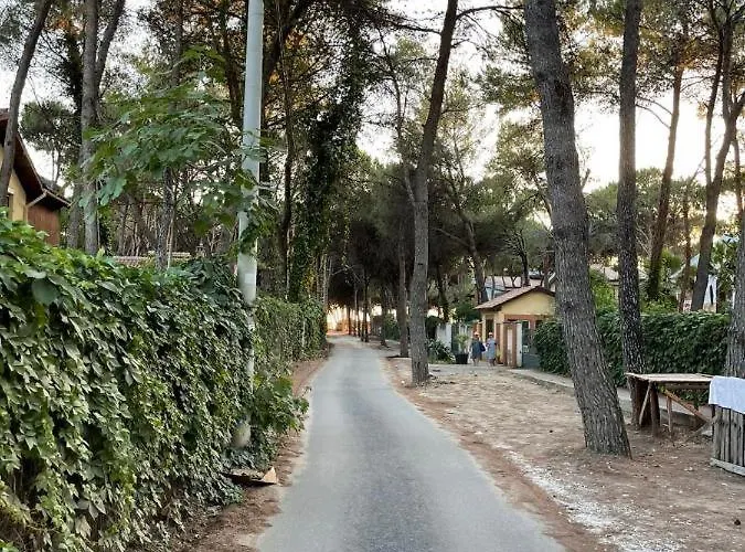 Διαμέρισμα Bega's In Golem, Durres